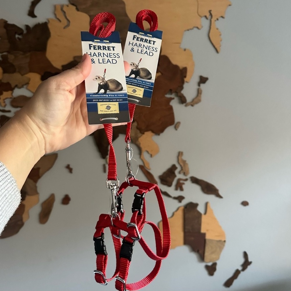 Marshall Ferret Animal Pet Harness and Lead Set of 2 Red New with Tags